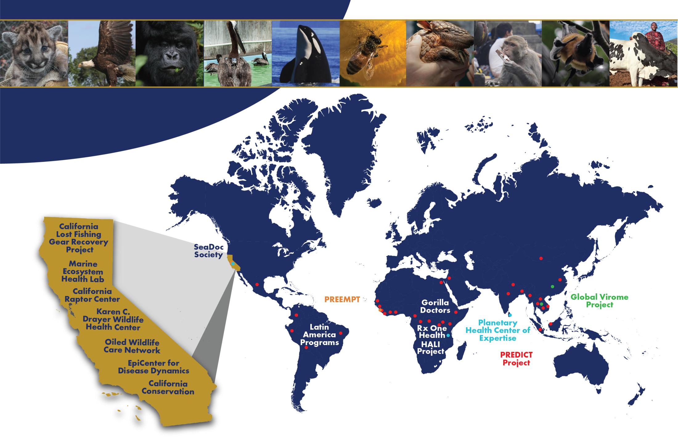 One Health Institute impact across the world