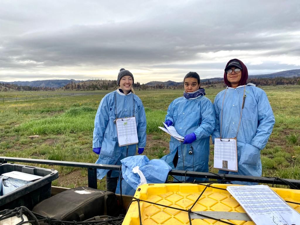 Clover Valley field research team