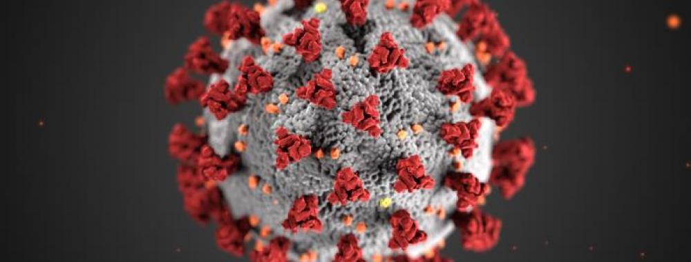 coronavirus