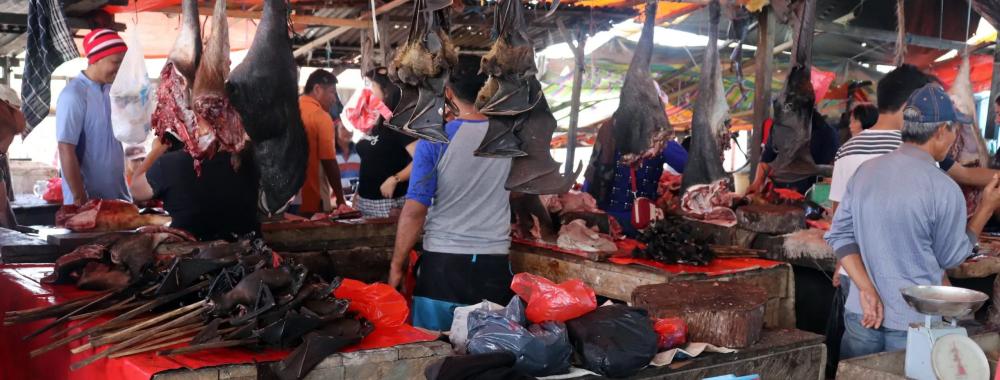 bat meat in indonesian market
