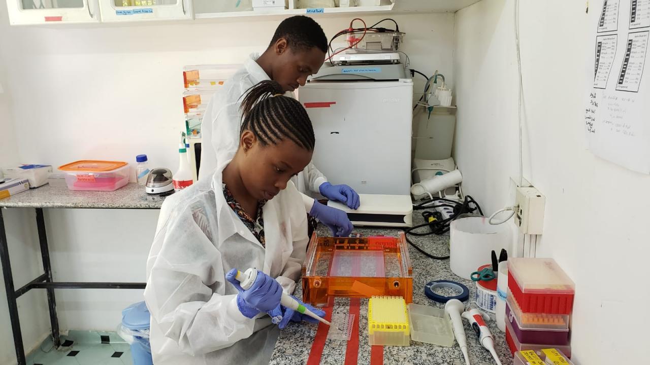 The PREDICT Project has been supporting partners in Asia and Africa, providing technical assistance for laboratory response during the COVID-19 outbreak, including laboratories in Thailand, Cambodia, and Nepal. (PREDICT) Students training in a lab