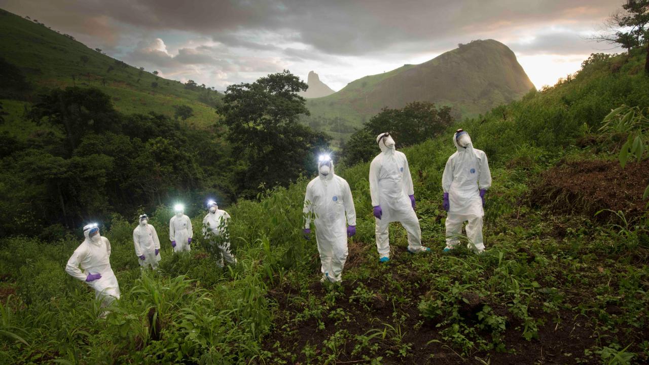 Sierra Leone PREDICT project sampling team