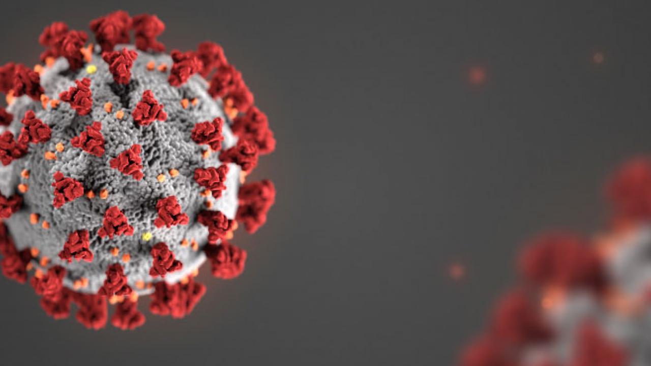 coronavirus