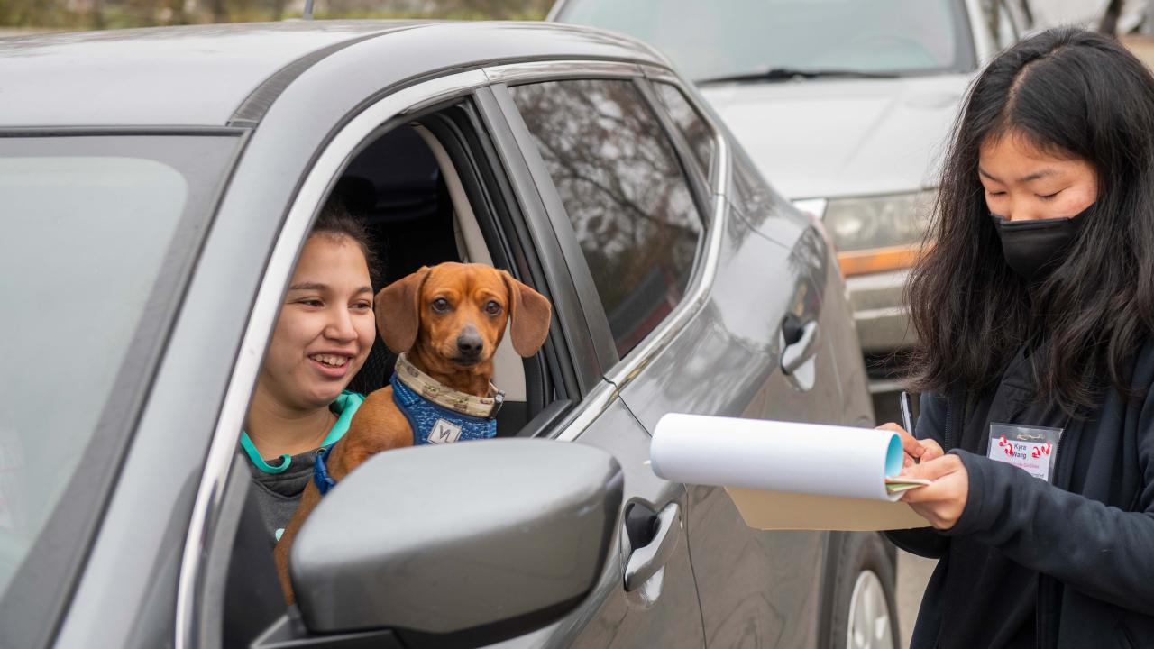 dog and patient in car