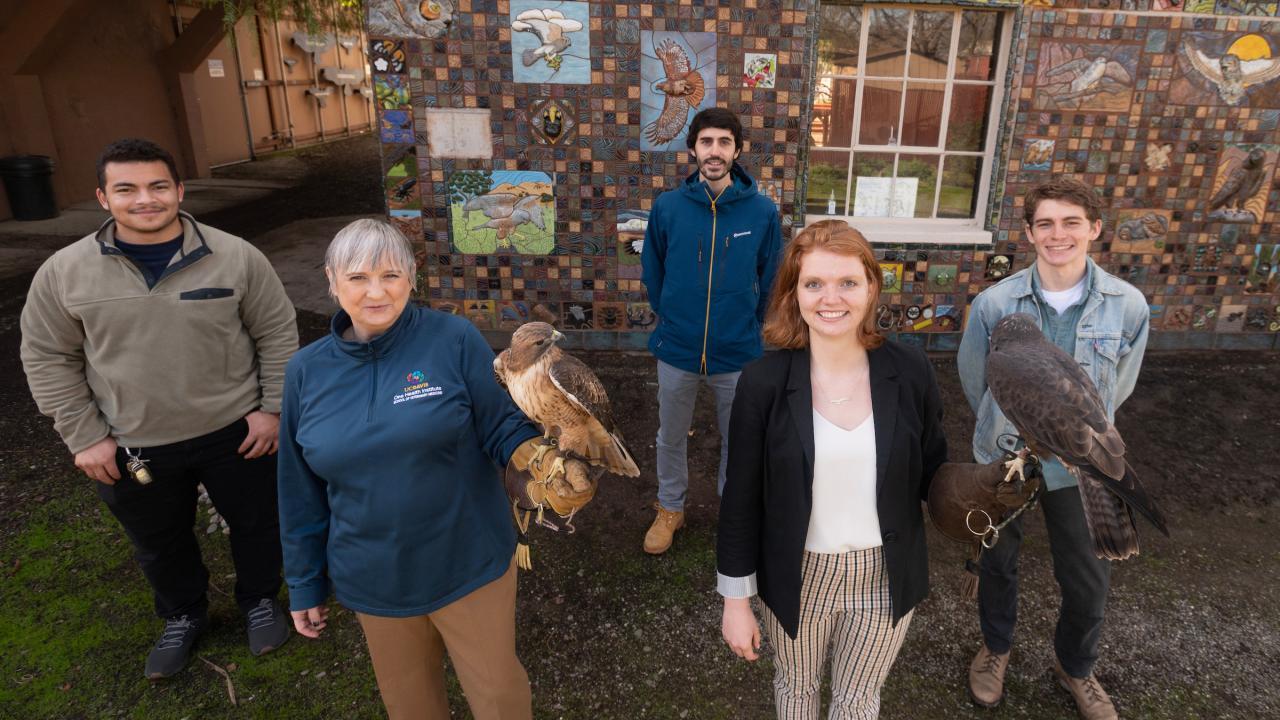 UC Davis Engineering and California Raptor Center collaboration