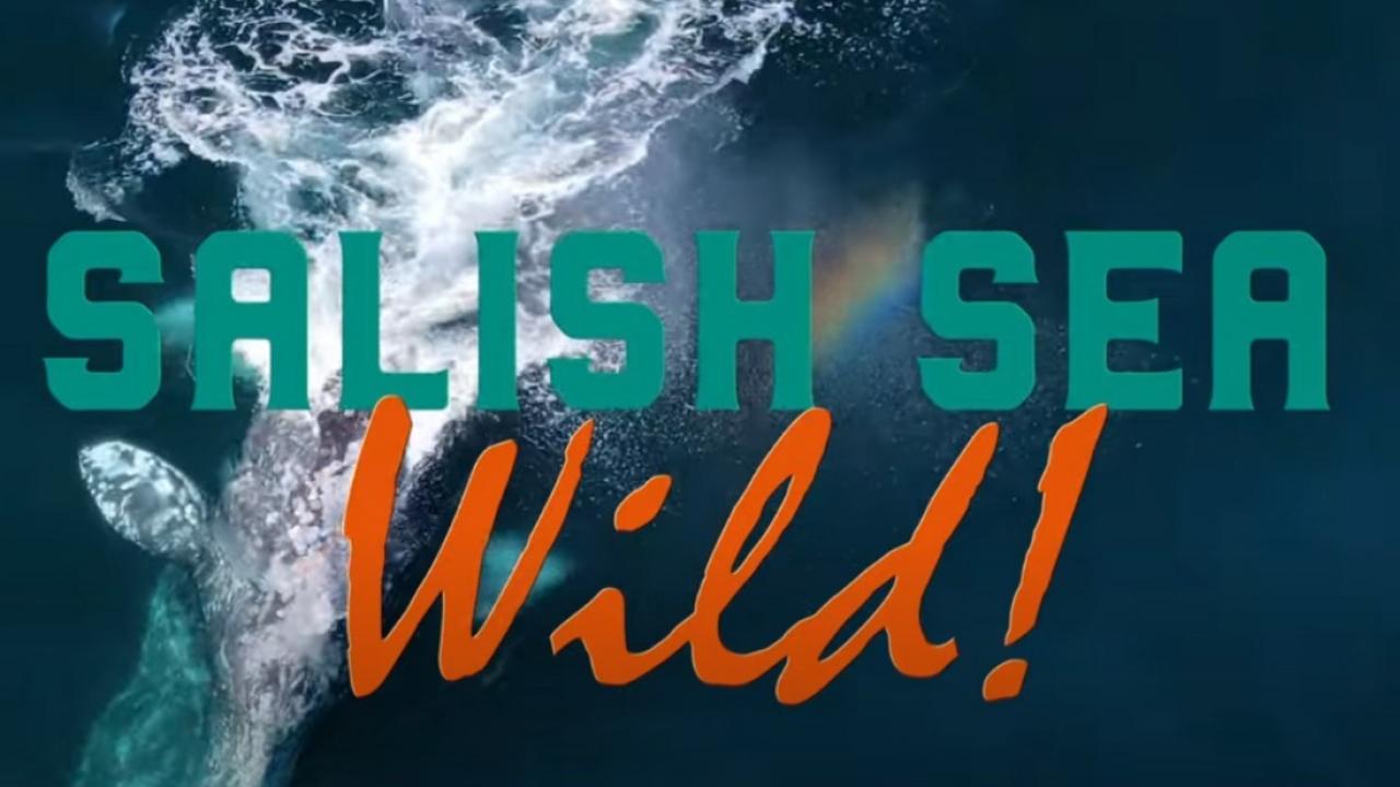 salish sea wild web series cover