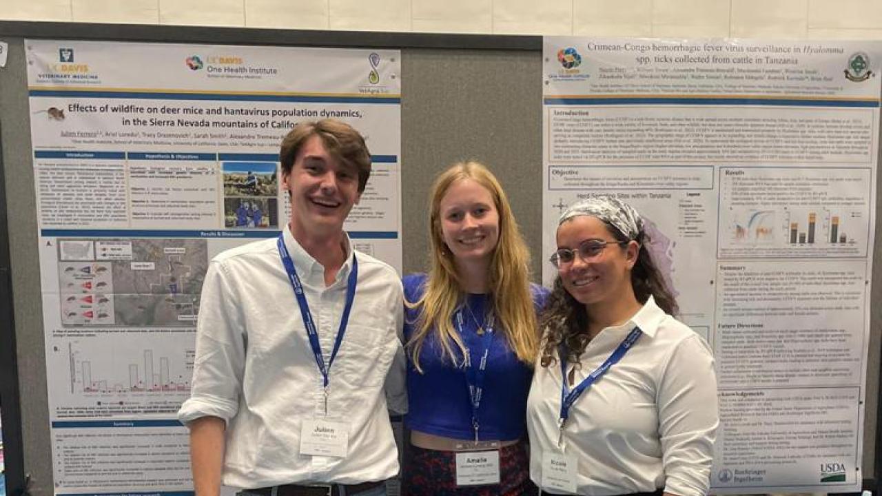 One Health Institute students presenting in Puerto Rico
