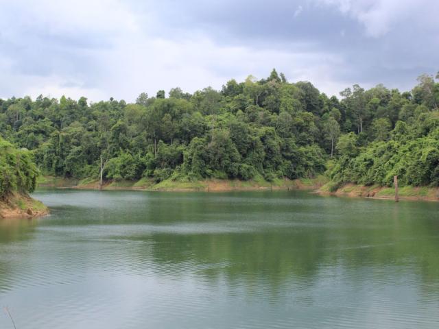 Nature Conservation Society-Myanmar- photos