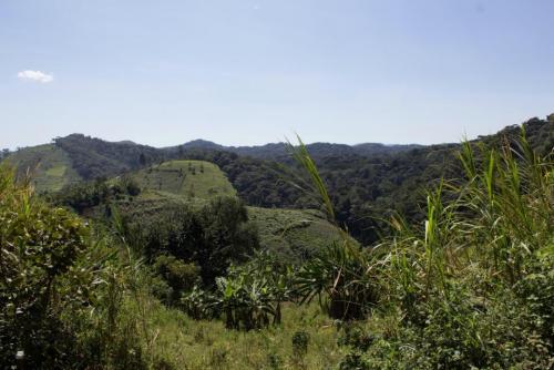 Bwindi Uganda