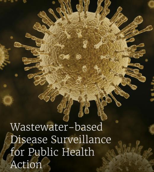 Wastewater-based Disease Surveillance for Public Health Action (2023)