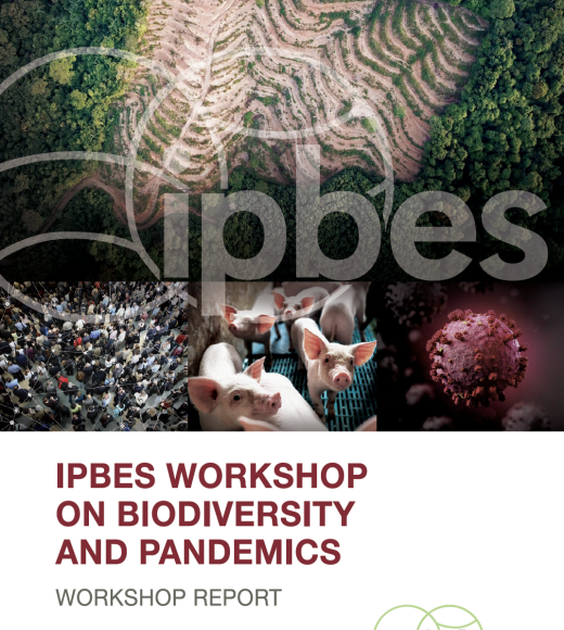 IPBES Workshop report