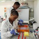 Students training in a lab