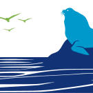 elephant seal and bird illustration