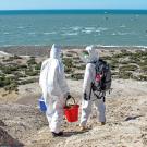 scientists collecting H5N1 samples