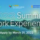 summer work experience 2022 flyer