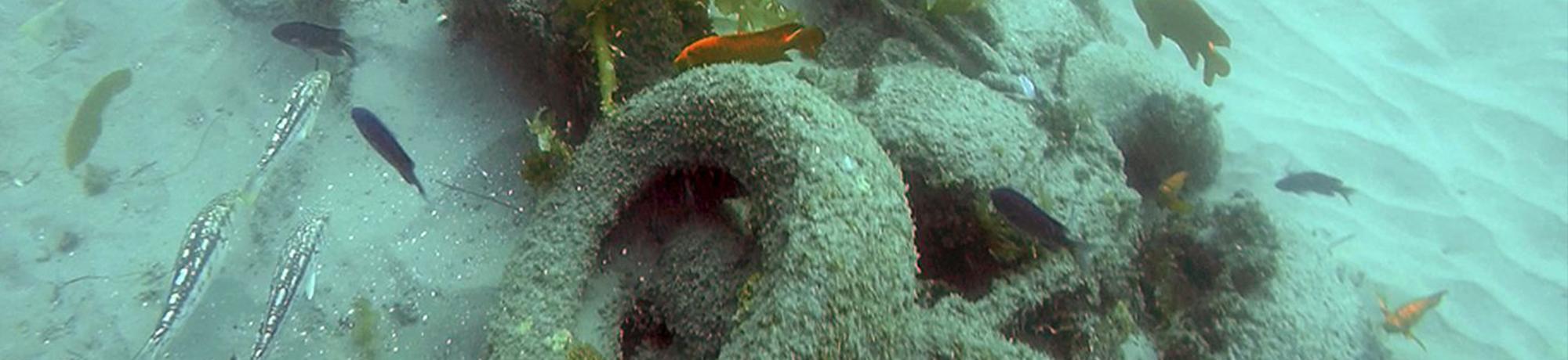 tires on the ocean floor