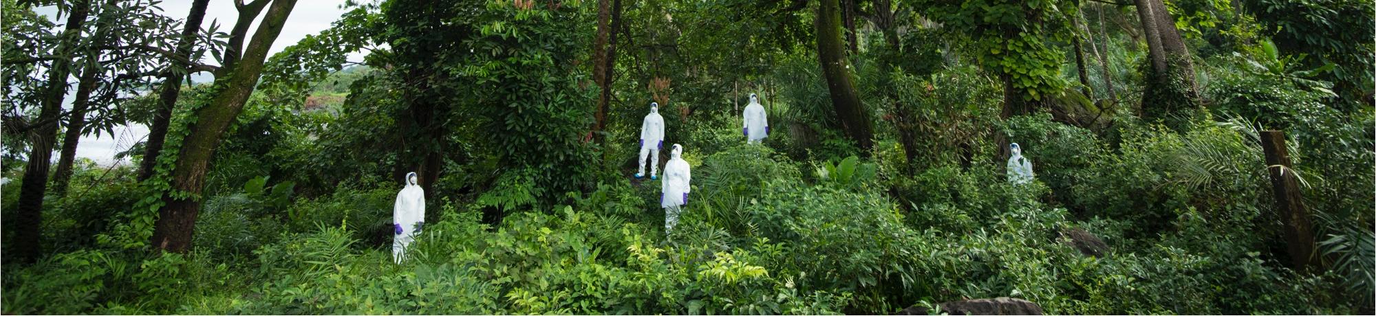 virus hunters