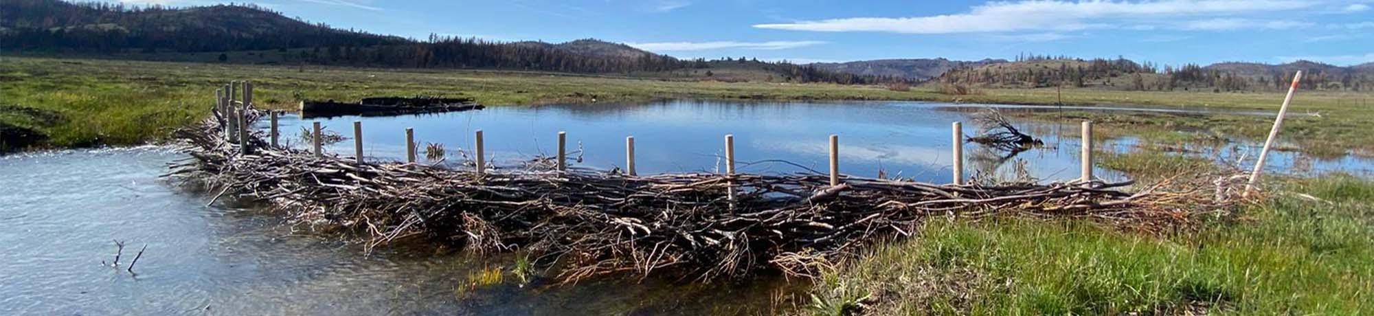water structure in Clover Valley